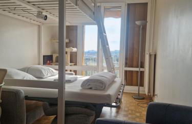 T4/5 avec vue sur les Alpes à 5 minutes de Lyon - Foto 14