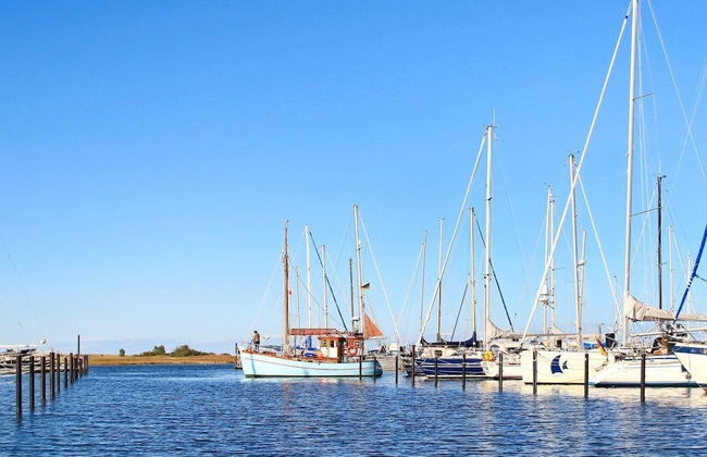 6 Personen Ferienhaus in Wendtorf - Photo 36