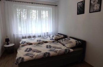 Apartamenty AgPa7 - Foto 13