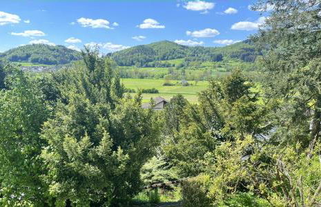 Terrasse mit Ausblick - Foto 24