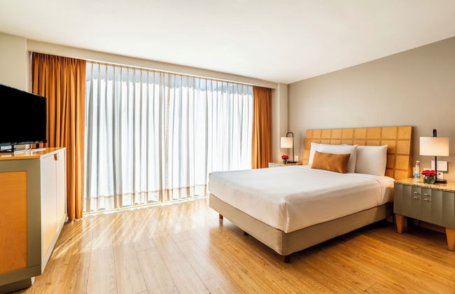 Alteza Polanco - Foto 31