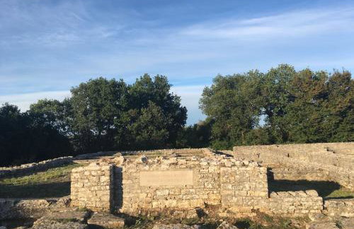 Studio & Apartment 'The Roots Apartments' near Pula, Istria, Croatia - Foto 27