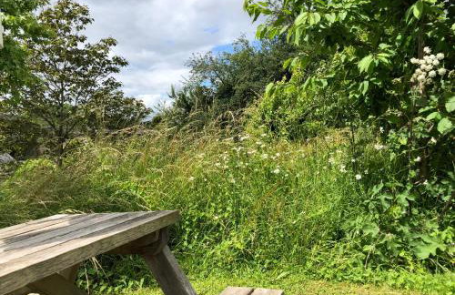 The Steppes Holiday Cottages - Foto 24