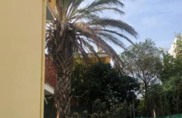 Under the Lemon Tree - Foto 10