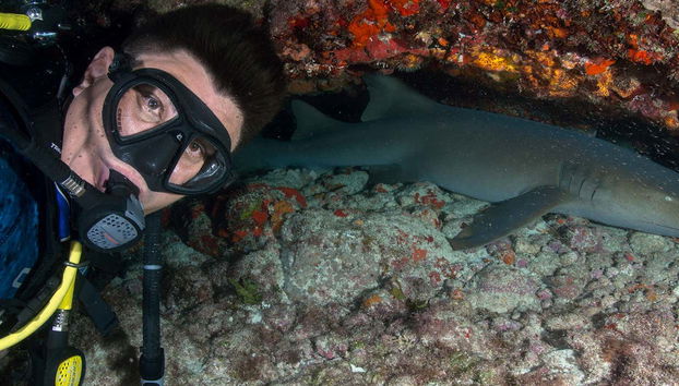 Enjoying the experience of scuba diving at night