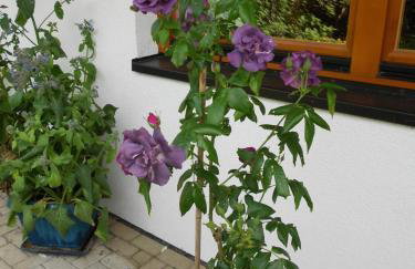 Ferienwohnung im Harz-Haus-Bruns - Foto 80