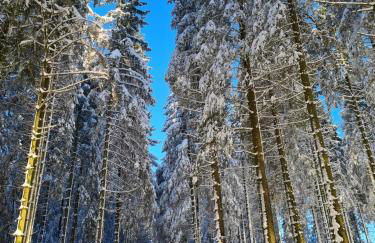 Jagthaus am Rappelstein - Foto 37