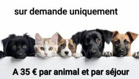 L'ACIÉRIE Logis de luxe avec Jacuzzi - Foto 5