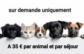 L'ACIÉRIE Logis de luxe avec Jacuzzi - Foto 5