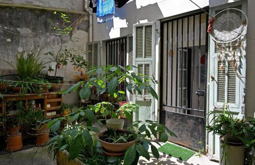 Un jardin en Ville - Photo 14