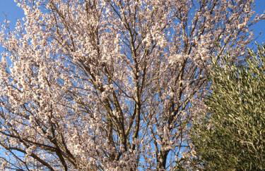 Il Poggio Delle Ginestre - Foto 59