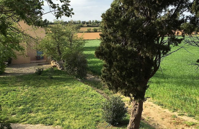 Gîtes Pech-céleyran - Photo 41