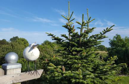Ferienwohnung Elbkoje - Foto 10