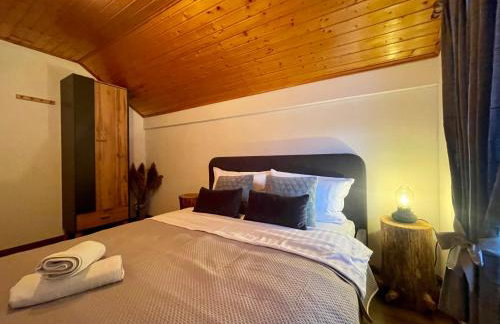 WoodenHouse with two Apartments - Foto 51