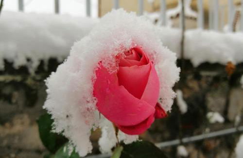 Konaki Tselepi - Foto 10