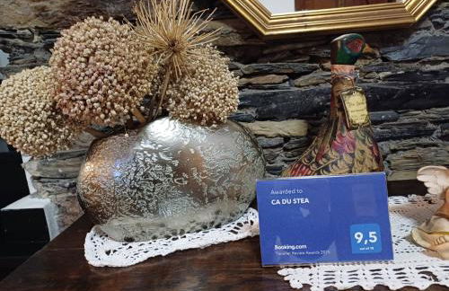 CA DU STEA - Foto 50