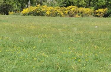 Maison indépendante et privative 52m2 au calme - Foto 22