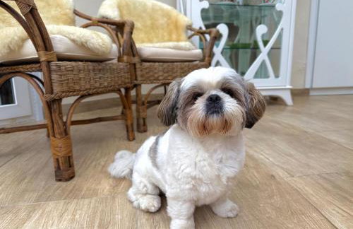 Paraíso na praia 800 mts do mar - Foto 58