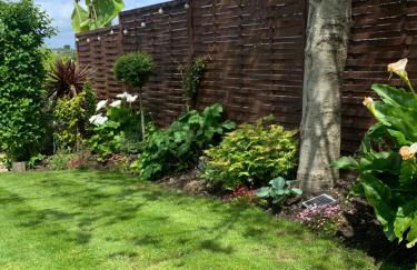 Stargazy Garden - Foto 11