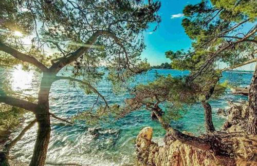 Luxury New !!! Apartment One and Only with terrace & free bikes - Foto 31