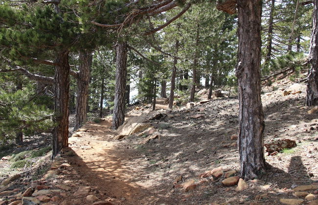 Tzionis Petroktisto Holiday Stonehouse - Photo 37