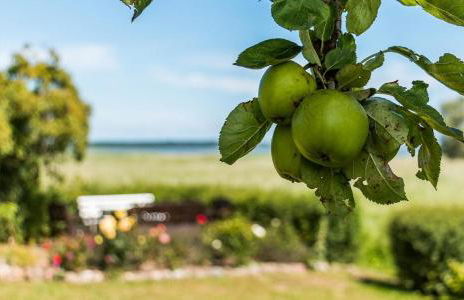 Haus am Bodden 02 - Foto 18