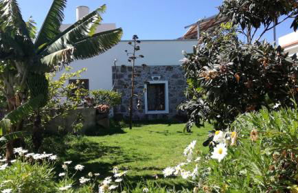 Villa Canaria piscina jacuzzi jardín - Foto 47