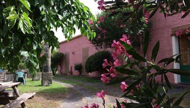 Codavolpe Giardino di Tea - Foto 2, Imagen principal