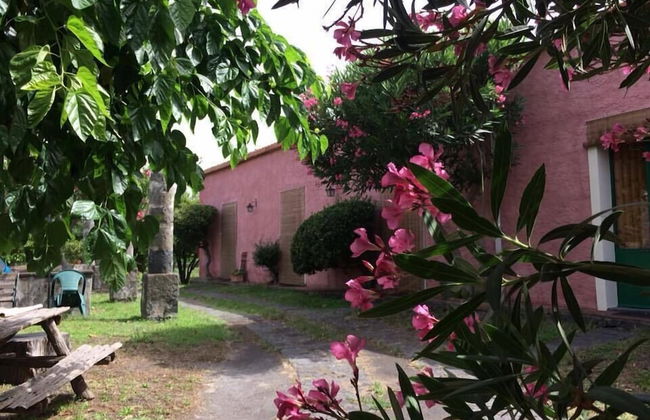 Codavolpe Giardino di Tea - Foto 1