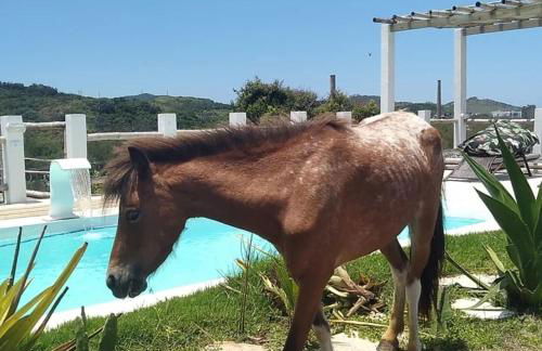 Pousada Fazendinha Beach Club Arraial do Cabo - Photo 38