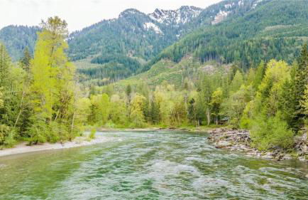 Wild Dog Cabin - Photo 48