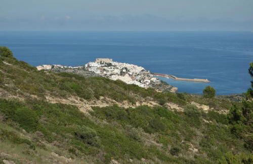 Mira d'Oro. Peniscola. - Foto 43