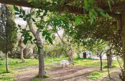 Las Brujas - Foto 14