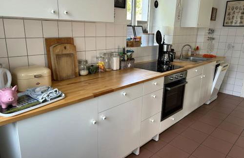 Ferienwohnung Landidyll, Whirlpool, Minipigs, Ponys, Familien - Foto 27