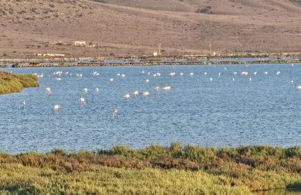 Apartamento en Cabo de Gata Urbanización CABOSOL - Foto 20