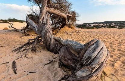 Borgo Ingurtosu - Photo 17