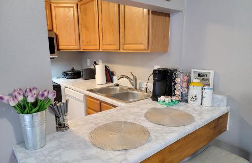 Comfy 1BR Apartment - Ideal for Traveling Nurses & Professionals - Foto 22