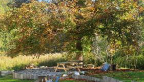 Les Berlicants - Foto 4