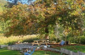 Les Berlicants - Foto 4