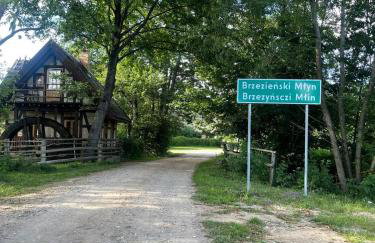 LEŚNY KĄCIK - Foto 32