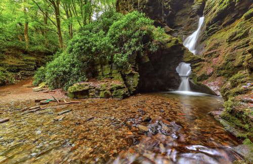 Bossiney Cove Cottage - Foto 48