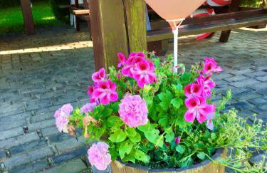 Miętkie Pole - Foto 8