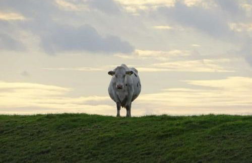 Ferienhaus Ronny - Foto 20