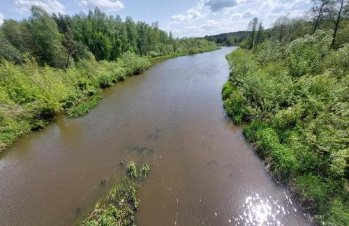 Woodland - dom z sauną i balią - Foto 29