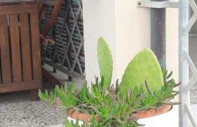 Sea beach relax - Foto 19