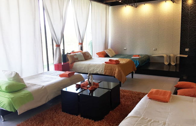 Bambu Sierra - Photo 17