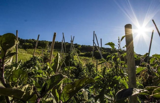 Agriturismo La Casa nel Cielo - Foto 23
