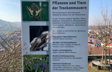 "Unter der Yburg" in 71394 Kernen - Stetten - Foto 20