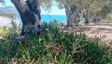 Villa Marina - Foto 4