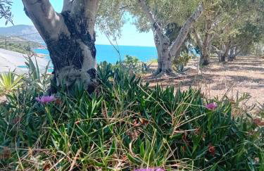 Villa Marina - Foto 4